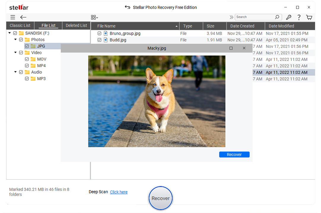 Preview & Recover